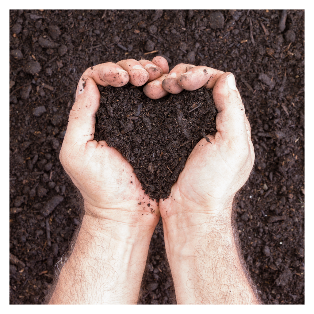 hands holding soil in a heart shape