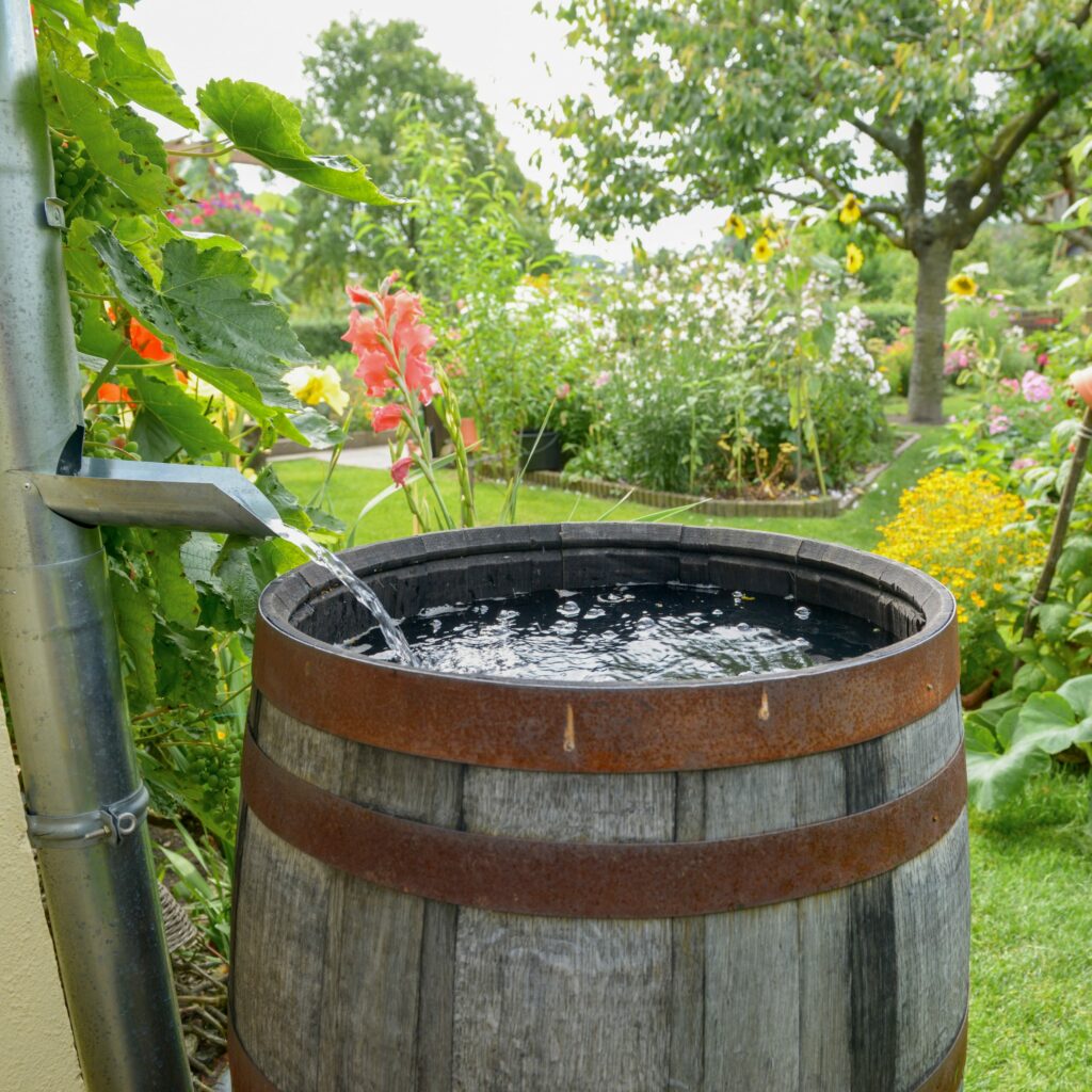 water flowing from a spout into a bucket