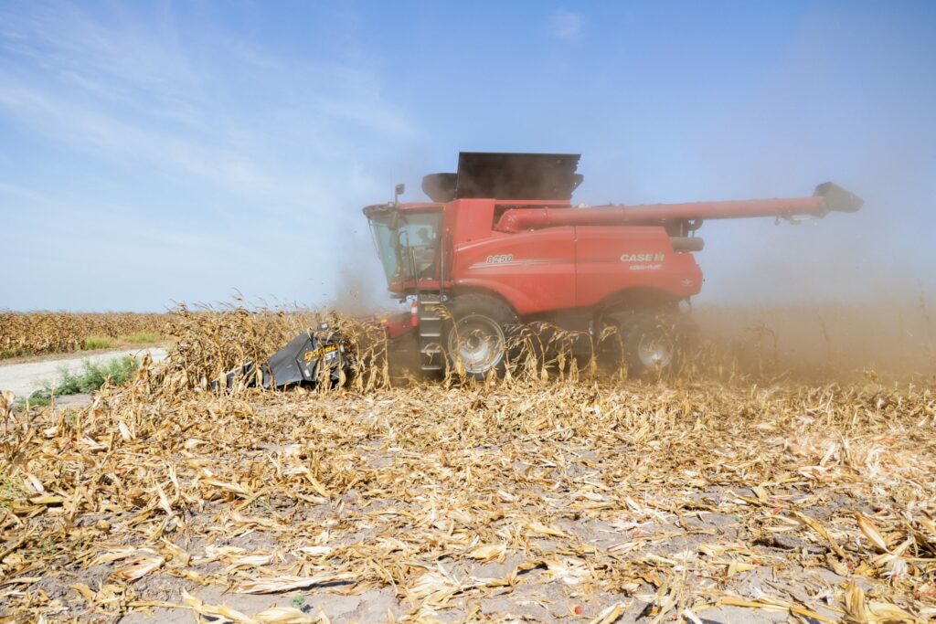 Combine harvesting corn.