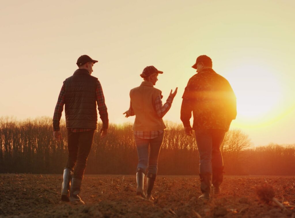 Three farmers walk ahead on a plowed field at sunset.