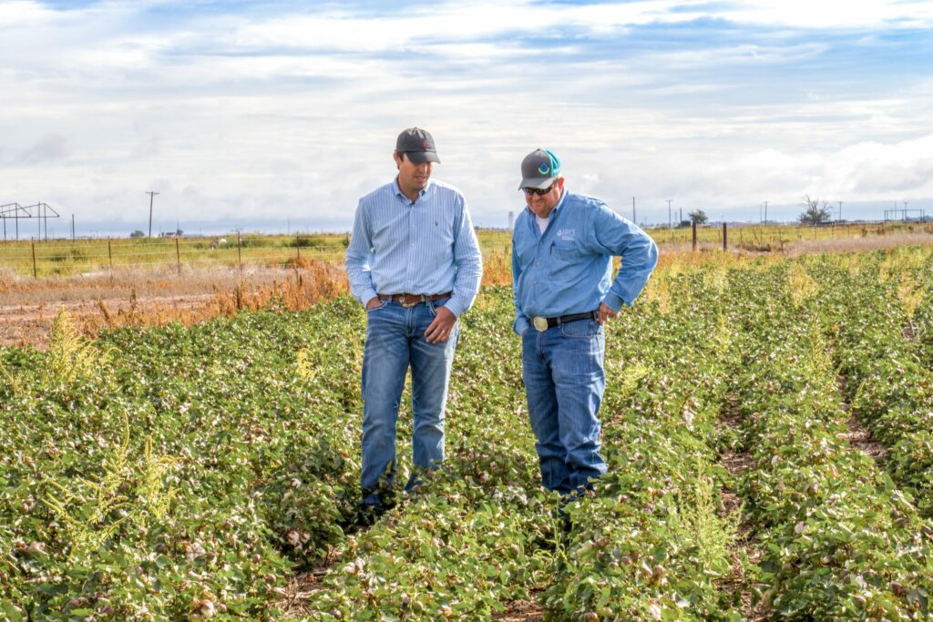 Farmers in a field in Texas