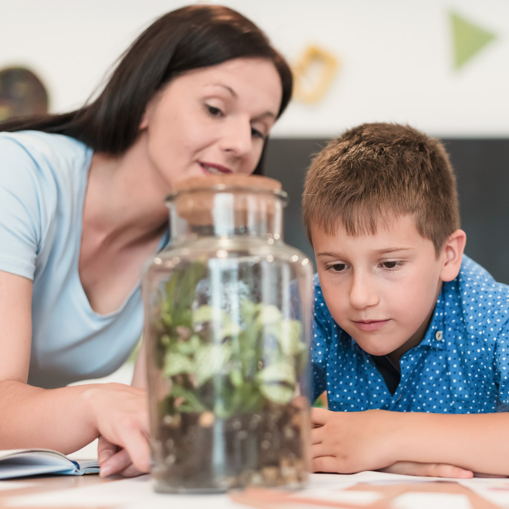 Female Teacher with kids in biology class at elementary school conducting biology or botanical scientific experiment about sustainable Growing plants. Learning about plants in a glass jar.