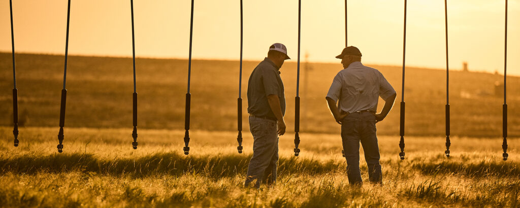 Texas farmer Quentin Shieldknight looking at irrigation equipment in a field.