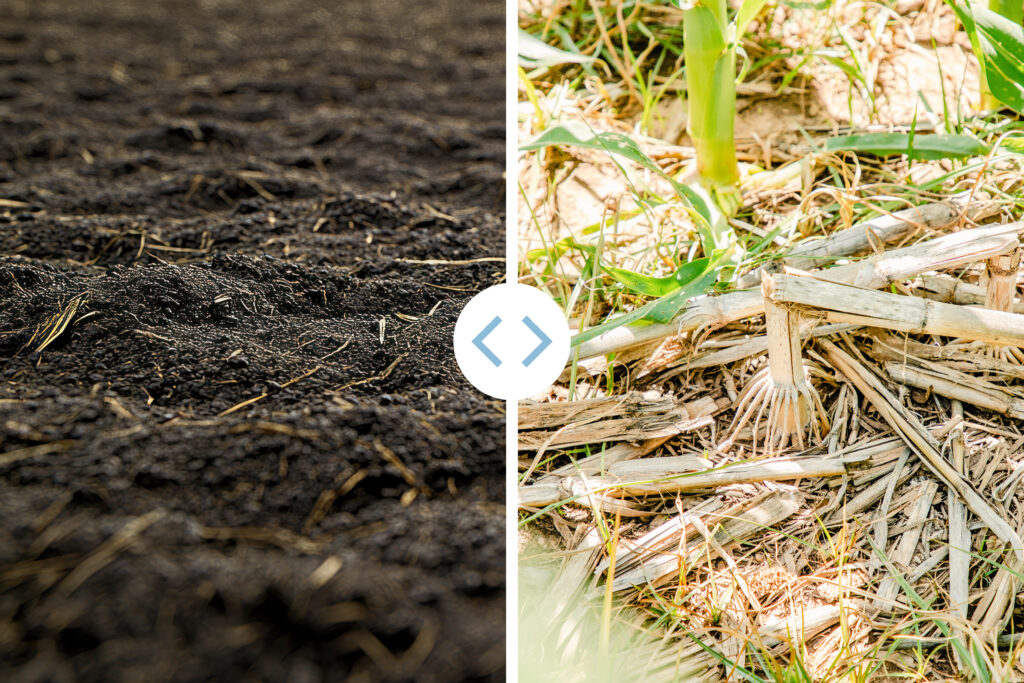 Two different types of Texas soil, managed very differently. One requires tillage because the clay-rich soil can hold too much water. The other photo is in West Texas where drier conditions require residue to keep moisture in the ground