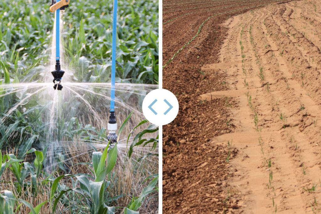 Water conservation methods look different on a West Texas farm vs a Central Texas farm. One shows a drip irrigation system on a field with crop residue. The other showcases terraces to help reduce water and soil runoff. 