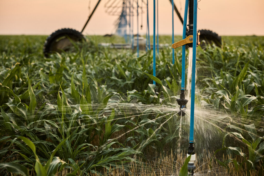 Center pivot irrigation systems apply water from a nozzle down to the crop.